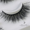 Eyelashes(Free Shipping Not Apply for Lash Only)