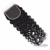 Brazilian Raw Wavy 5x5 HD Lace Closure
